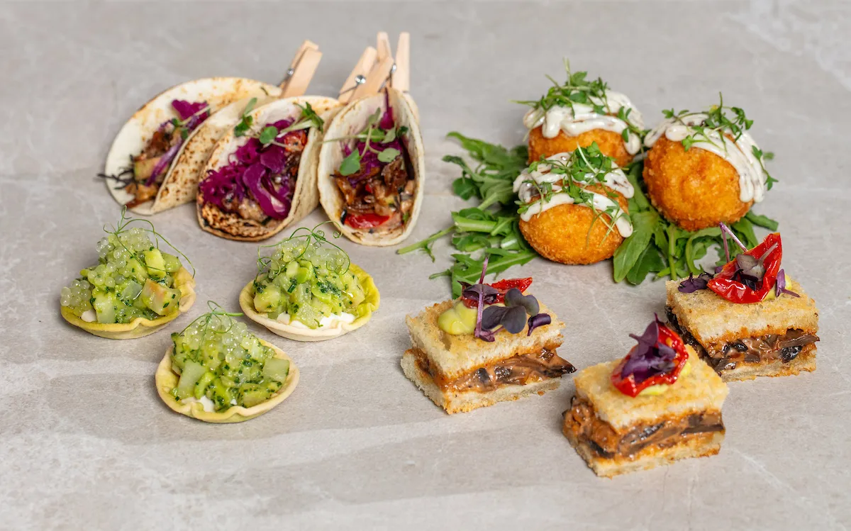 Fingrafæði vegan x 40 1